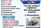 Pinthong – 2