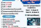 Pinthong – 2